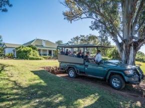 Leeuwenbosch Country House - Amakhala Game Reserve